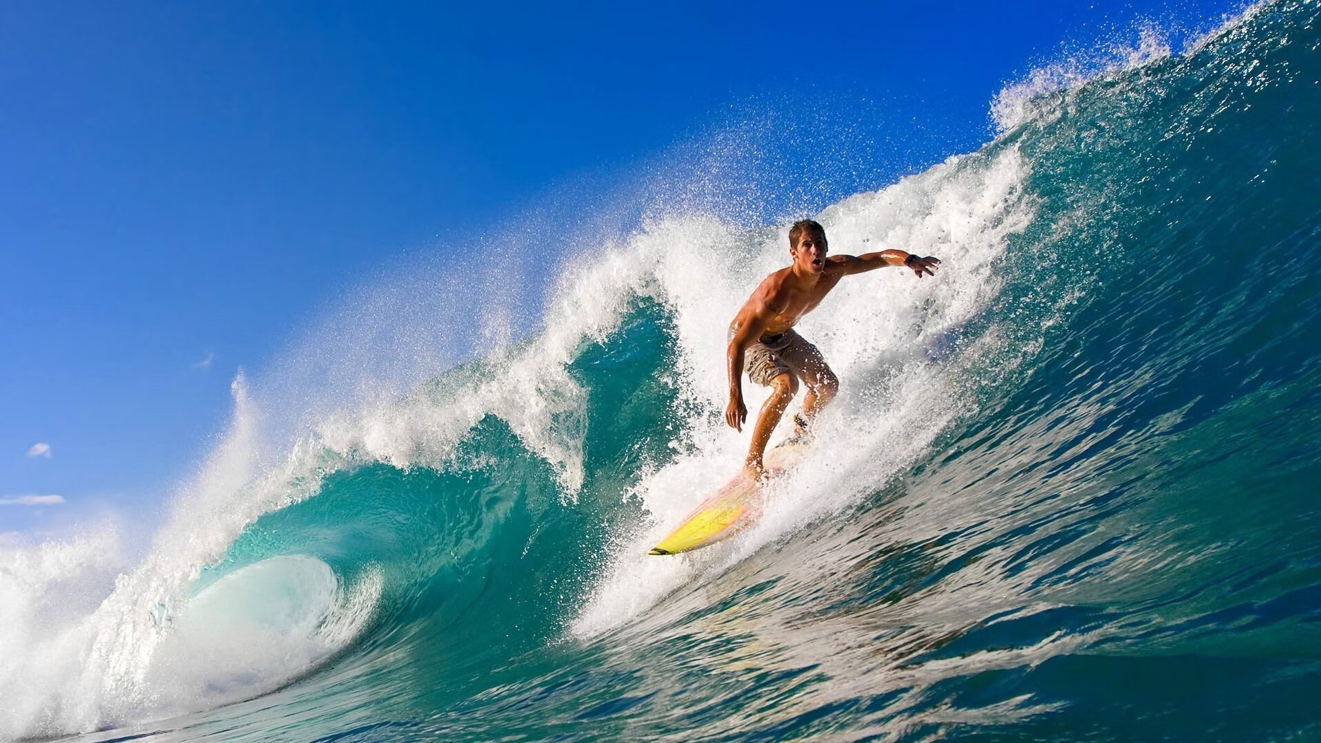 行业分析：顶尖选手背后的严格训练和心理调适秘籍